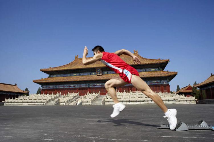 教练组的信