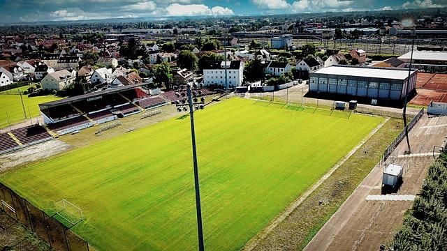 力十足的达 力十足的达